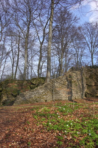 010282.jpg