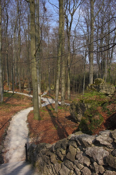 010287.jpg