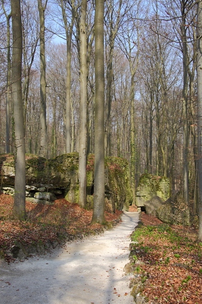 010288.jpg