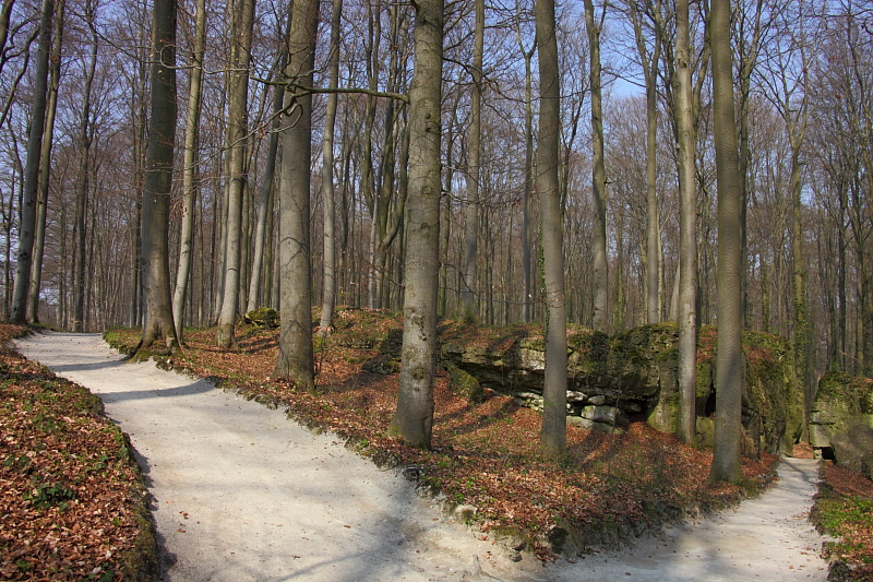 010293.jpg