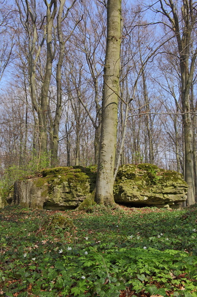 010298.jpg