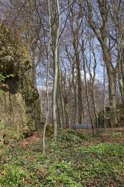 010302.jpg