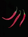 scanned_10