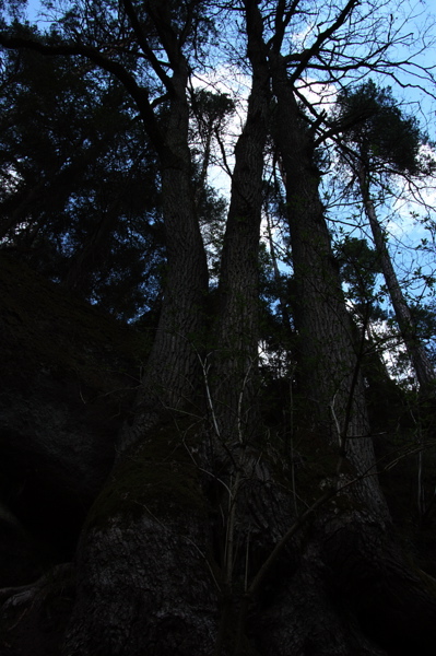 003809.jpg
