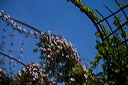 010725