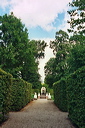010796_slr
