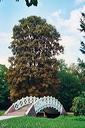 010811_slr