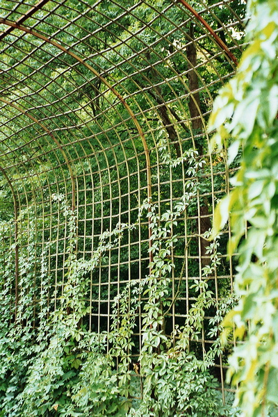 010727_slr.jpg