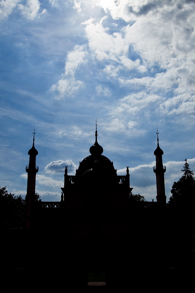 010782.jpg