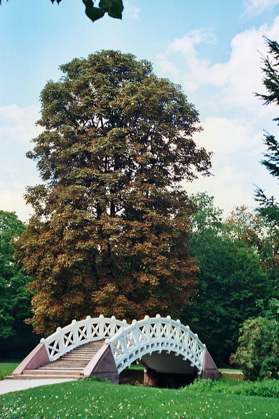 010811_slr.jpg