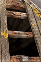 _mg_0458