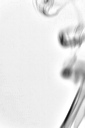 smoke_inv_03