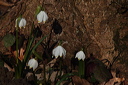 003540