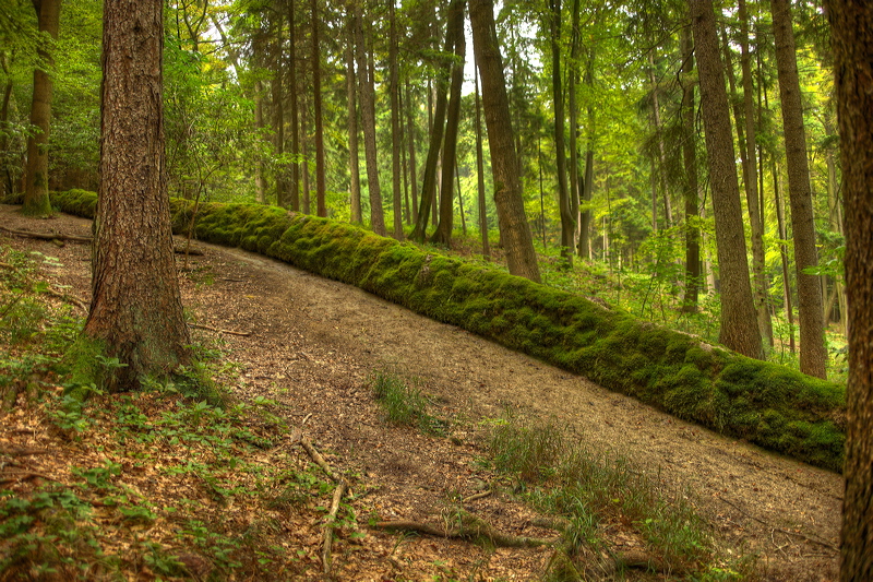 009571.jpg