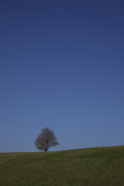 003705.jpg