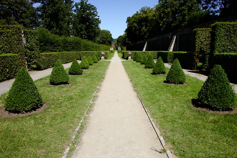 009366.jpg