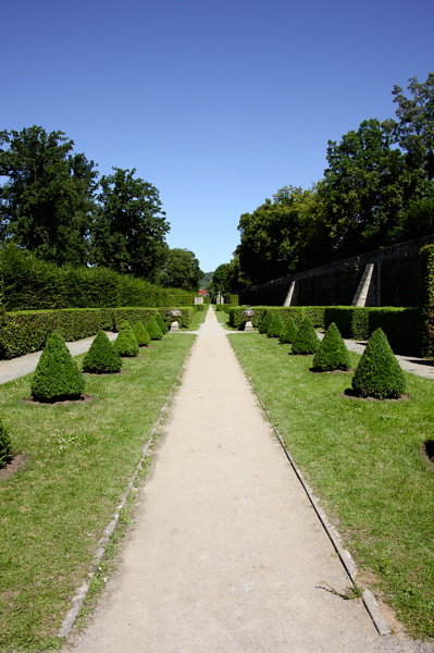009367.jpg
