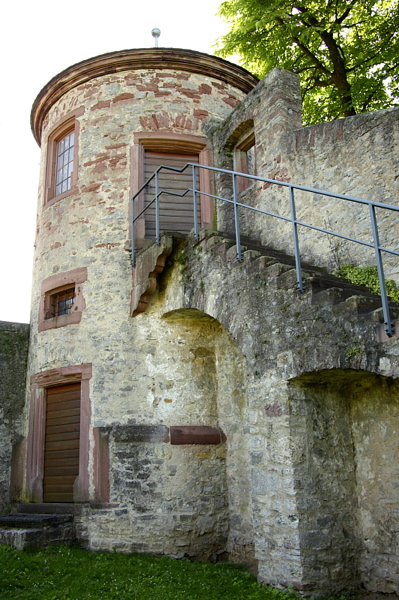 009372.jpg
