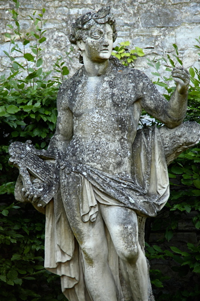 009375.jpg