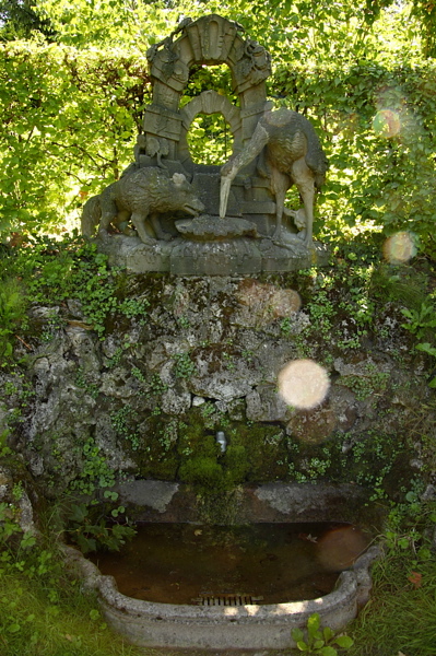 009377.jpg