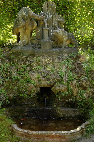 009378.jpg