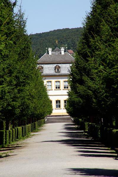 009381.jpg