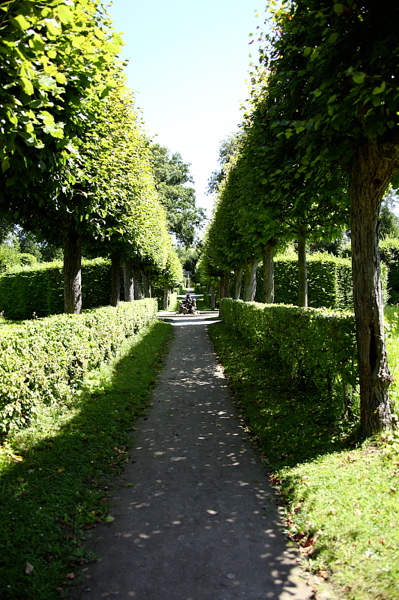 009382.jpg