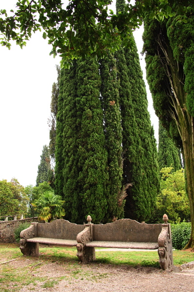 009079.jpg