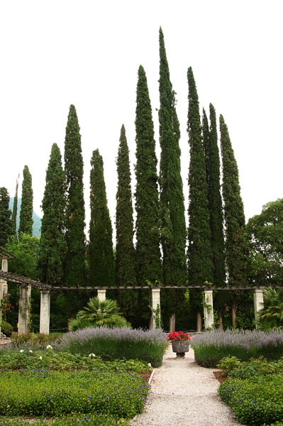 009093.jpg
