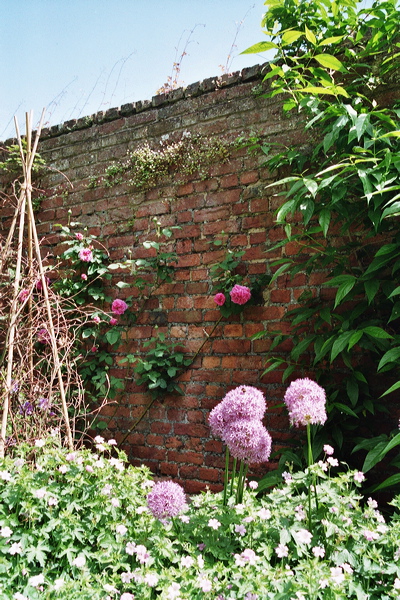 001914.jpg