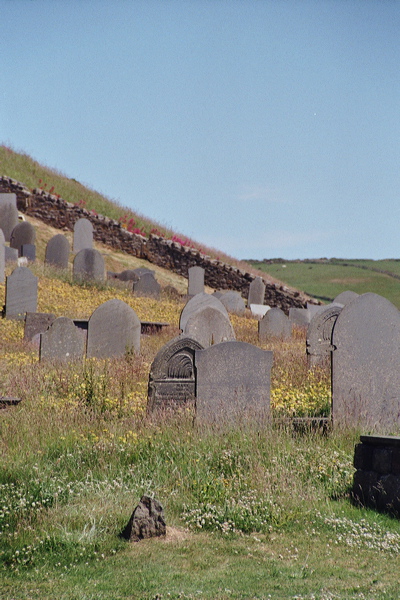 001958.jpg