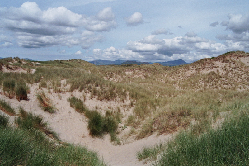 001972.jpg