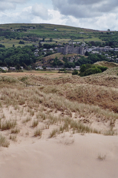 001973.jpg
