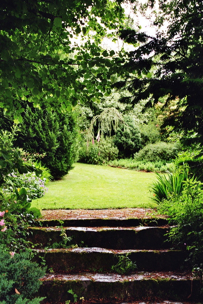 001979.jpg
