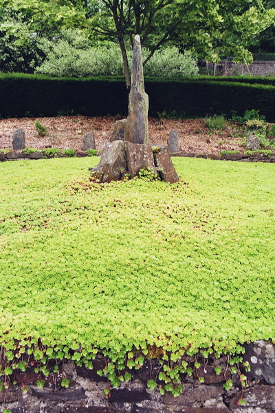 001983.jpg
