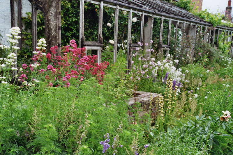 001988.jpg