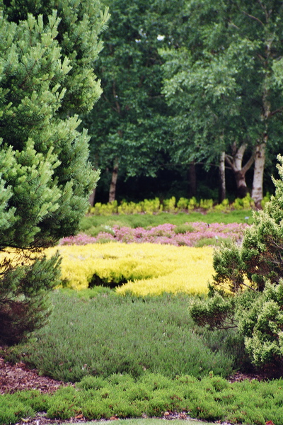 002004.jpg