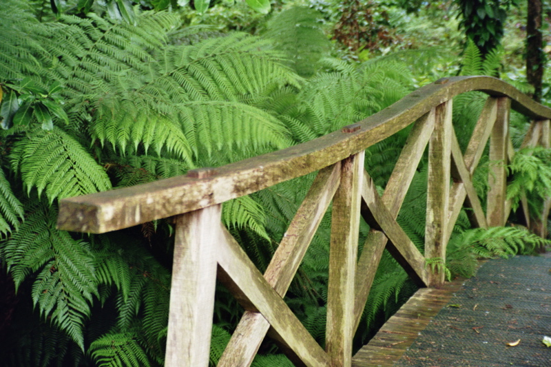 002006.jpg