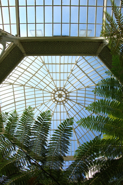 008540.jpg