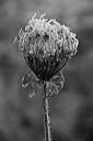 012224