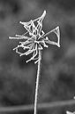 012228