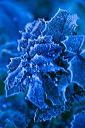 012250