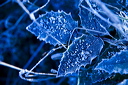 012254